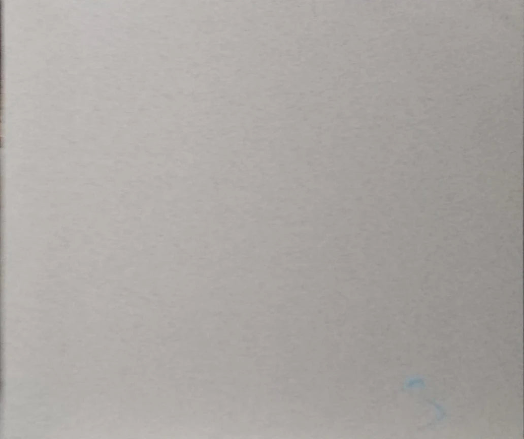 Prime Finestone Blanco 2x2 tile