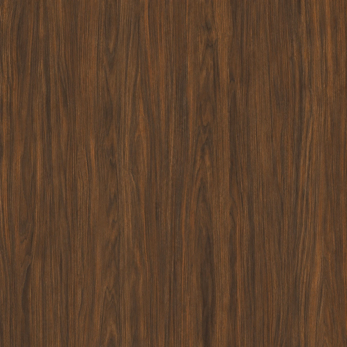 Spiced Cider 8x40 tile